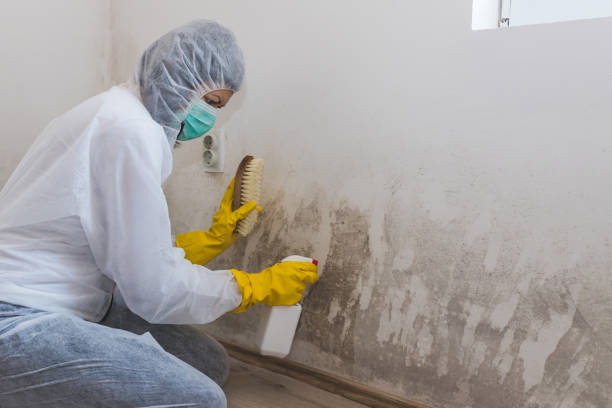 Best Biohazard Mold Removal  in Princeton, FL